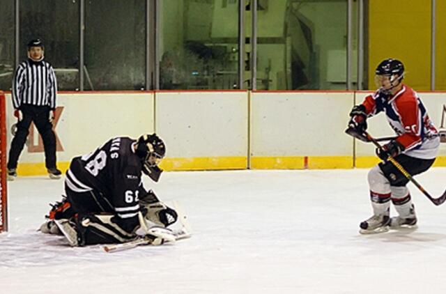 NLRL: "Vilkai" nepasigailėjo "Hockey punks"