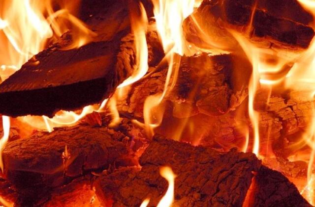 Per gaisrą Vilniuje žuvo žmogus