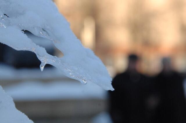 Sausio 8-oji: vardadieniai, dangaus kūnai, istorija