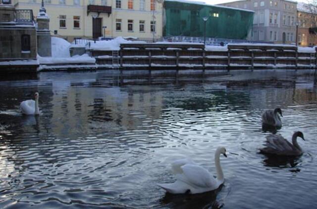 Šią savaitę vyraus permainingi orai