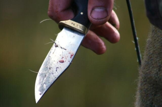 Širvintų rajone nužudyta moteris, Vilniuje peiliu subadytas vyras