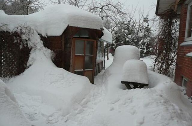 Stabdomas konkursas "Mano didžioji pusnis"