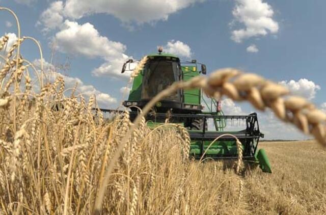 Užsimenama apie pagrindinių maisto produktų kainų šuolį