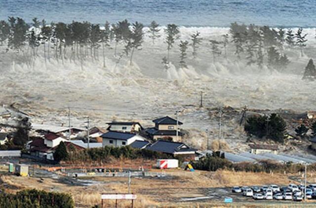 Cunamio bangos Japonijoje aukštis buvo 23,6 metro