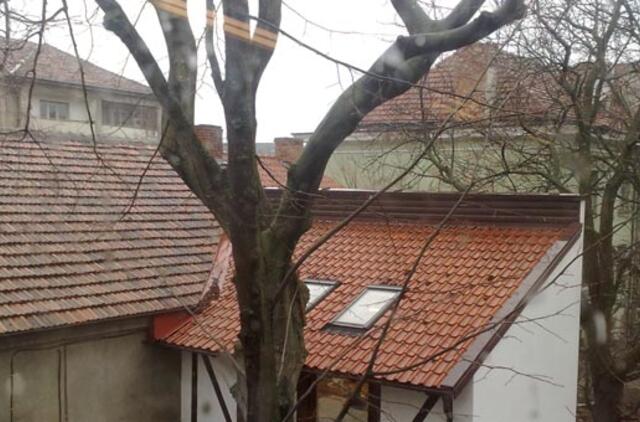 Klaipėda: VE.lt pristato kovo 29-osios įvykius