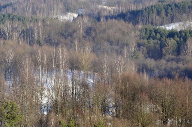 Pasieniečiai išgelbėjo miške pasiklydusį ir sušalusį vyrą