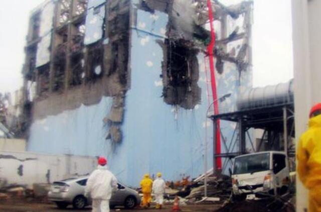 Žemės mėginiuose iš Fukušimos AE teritorijos aptikta plutonio pėdsakų