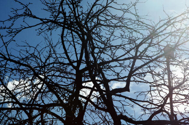 Balandžio 11-oji: vardadieniai, dangaus kūnai, istorija