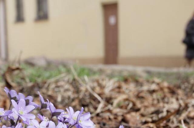 Balandžio 30-oji: vardadieniai, dangaus kūnai, istorija