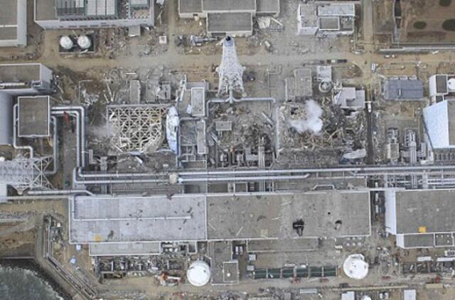 Fukušimos AE zonoje purškiama speciali derva