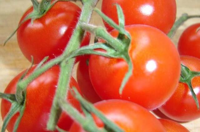 Gegužės darbai pagal Mėnulį