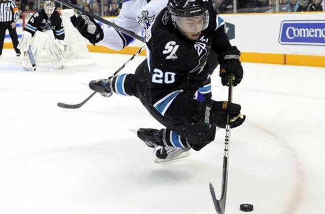 "Sharks" ledo ritulininkai šventė pergalę po pratęsimo