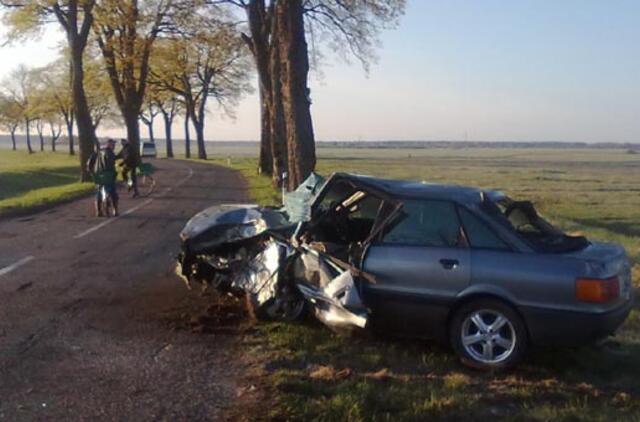 "Audi" rėžėsi į pakelės medį
