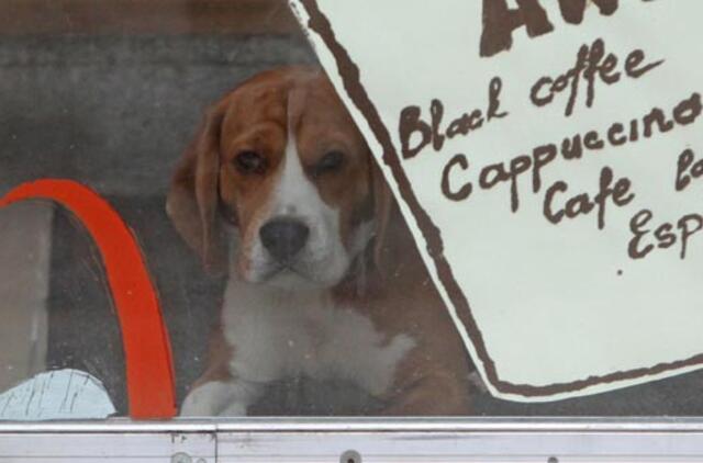 Gegužės 19-oji: vardadieniai, dangaus kūnai, istorija