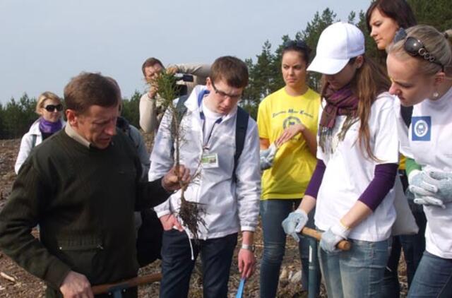 Nėštukės dienoraštis. Judam, judam, nesustojam