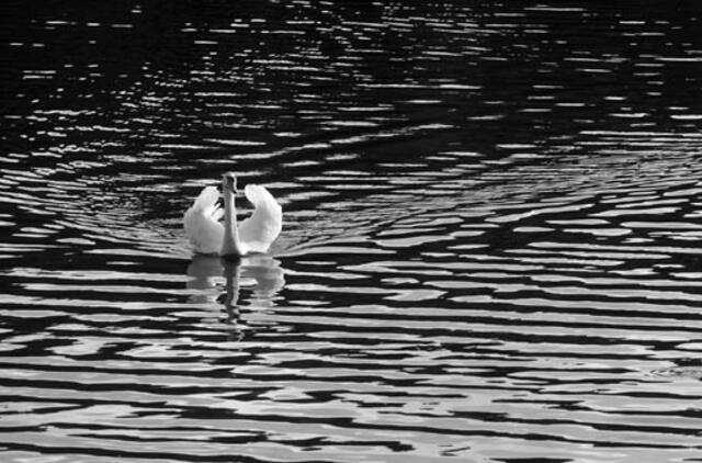 Birželio 10-oji: vardadieniai, dangaus kūnai, istorija