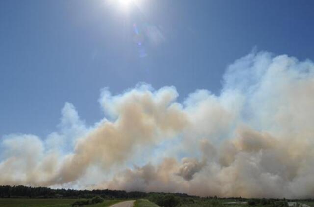 Oro užterštumas Klaipėdoje - tris kartus didesnis