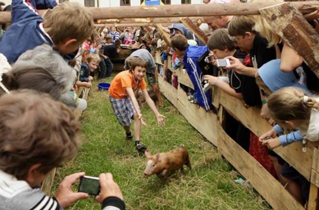 Pakruojo dvare vyko pirmasis Lietuvos paršelių bėgimo čempionatas