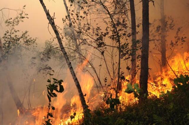 Per gaisrą durpyne nukentėjo ugniagesių inspektorius