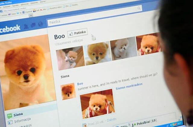 "Facebook". Sienų tepliojimas internete