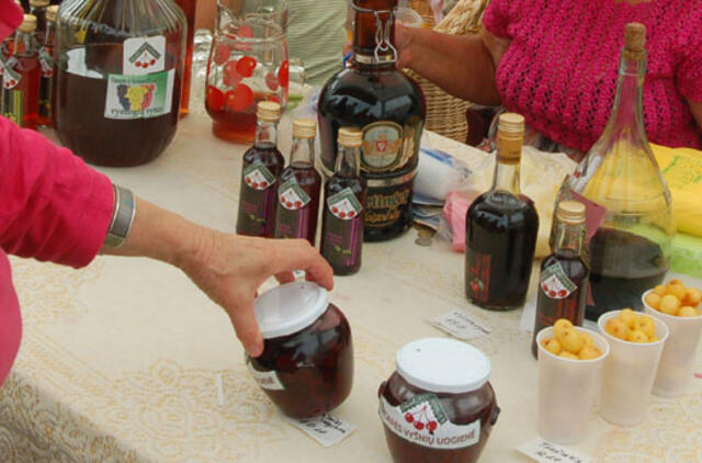 Išragautos Žagarės vyšnios