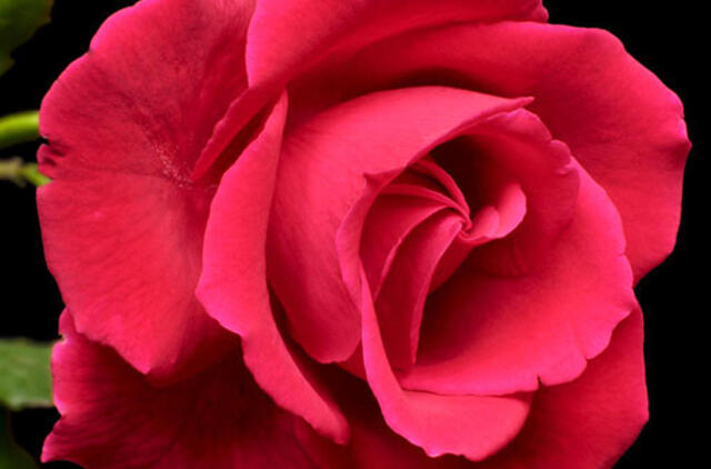 Liepos darbai pagal Mėnulį