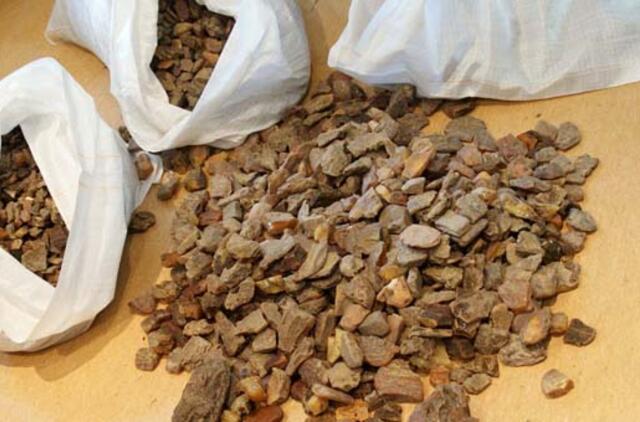 Nidoje sulaikyta gintaro kontrabanda