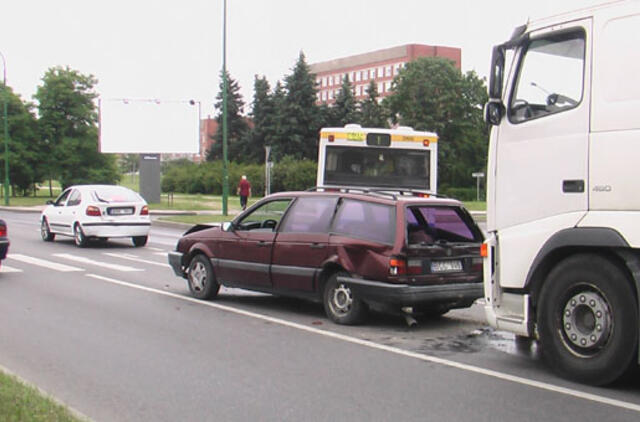 Vilkikas išjudino prie perėjos sustojusius automobilius