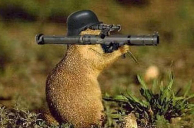 Bulvaras: tikėk - netikėk