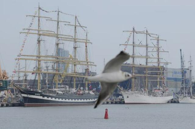 "The Culture 2011 Tall Ships regatta" programa