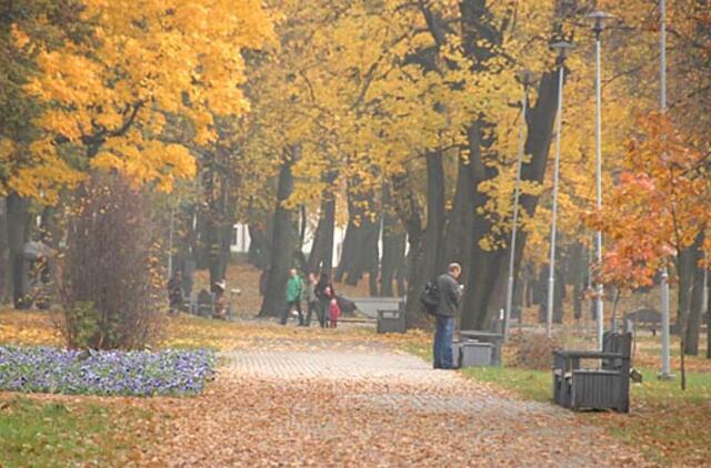 Skulptūrų parko tapatybės paieškos