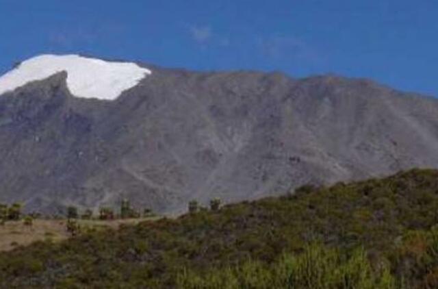 Šuo gyvena Kilimandžaro viršukalnėje