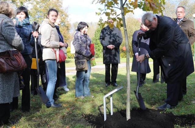 Draugystė, paženklinta klevo ir ąžuolo