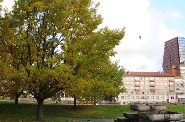 Kitą savaitę sugrįš saulėtas ruduo