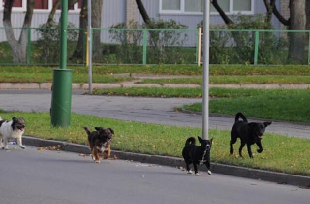 Klaipėda: VE.lt pristato spalio 26-osios įvykius