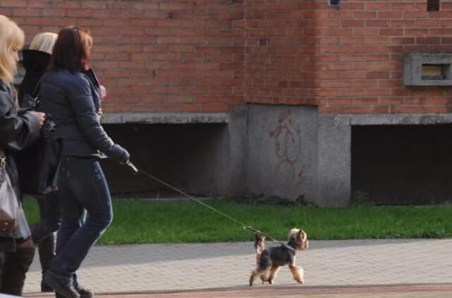 Klaipėda: VE.lt pristato spalio 27-osios įvykius