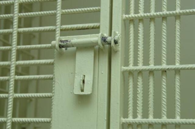 Neskaidrių viešųjų pirkimų organizatorius siūloma bausti ir laisvės atėmimu