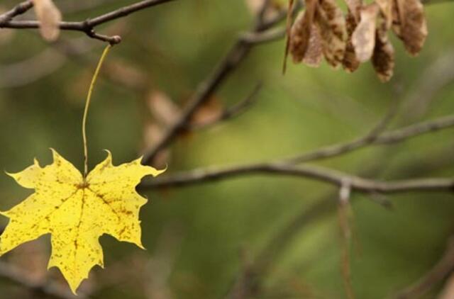 Spalio 18-oji: vardadieniai, dangaus kūnai, istorija