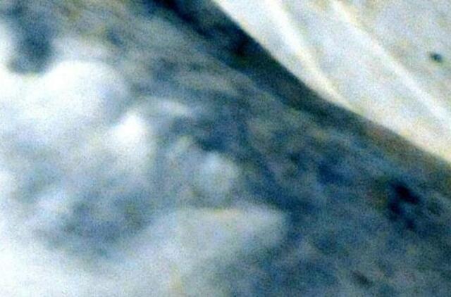 Asyžiaus bazilikos freskoje aptiktas šėtono profilis