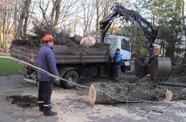 Dėl elektros tiekimo sutrikimų LESTO paskelbė ekstremalią situaciją
