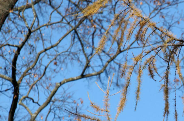 Lapkričio 2-oji: vardadieniai, dangaus kūnai, istorija