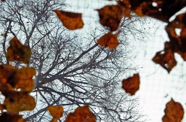 Lapkričio 4-oji: vardadieniai, dangaus kūnai, istorija