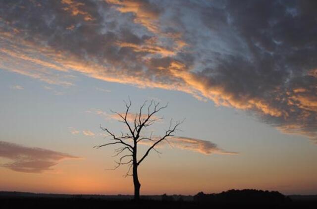 Lietuvos spaudos fotografų klubas kartu su festivaliu "Vilniaus fotografijos ratas" švenčia ir savo 10-metį