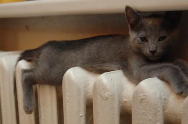 Šiltas spalis sumažino sąskaitas už šildymą, teigia šilumos tiekėjai