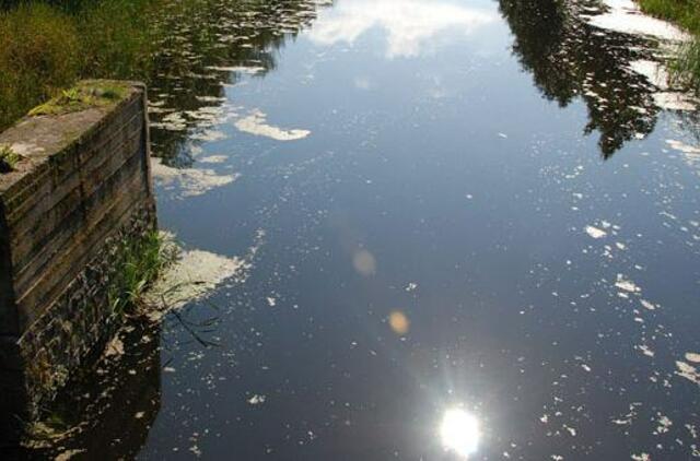 Vagys apšvarino istorinį tiltą