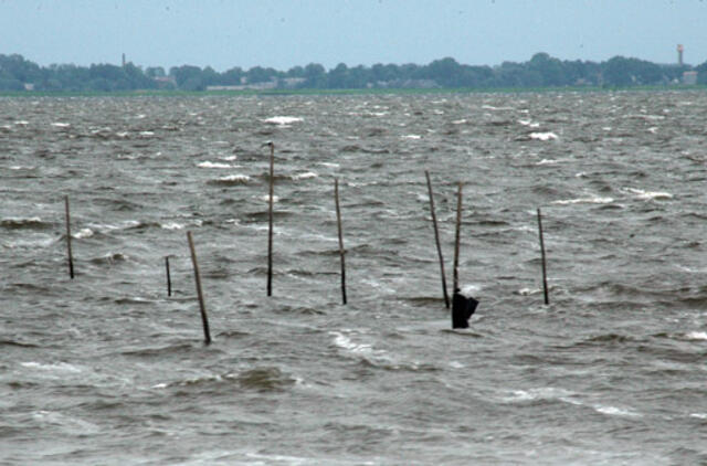 Gamtos gelbėtojų akys krypsta į Kuršių marias