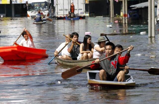 Gamtos stichijos 2011 metais pridarė rekordinių nuostolių