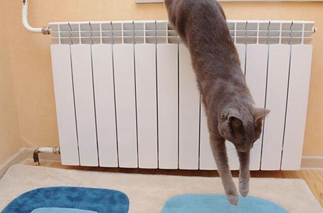 Gyvename bananų respublikoje