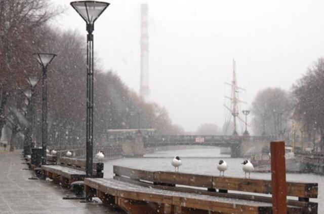Šią savaitę galime sulaukti sniego