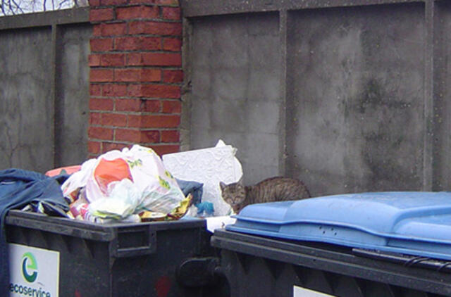 Atliekų tvarkymas Šilutėje: geriems norams - kaput?